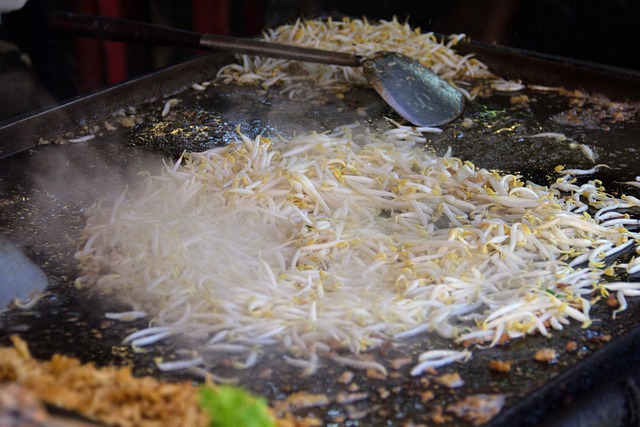 6 Kelebihan Alat Panggang Electric Griddle untuk Ibu Rumah Tangga